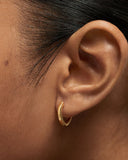 Pdpaola Duke Hoops in Gold