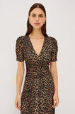 Rails Beacon Dress in Brown