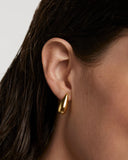 Pdpaola Large Sugar Earrings in Gold