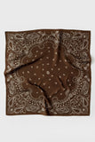 Le Scarf Paisley Scarf in Mocha