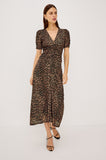 Rails Beacon Dress in Brown